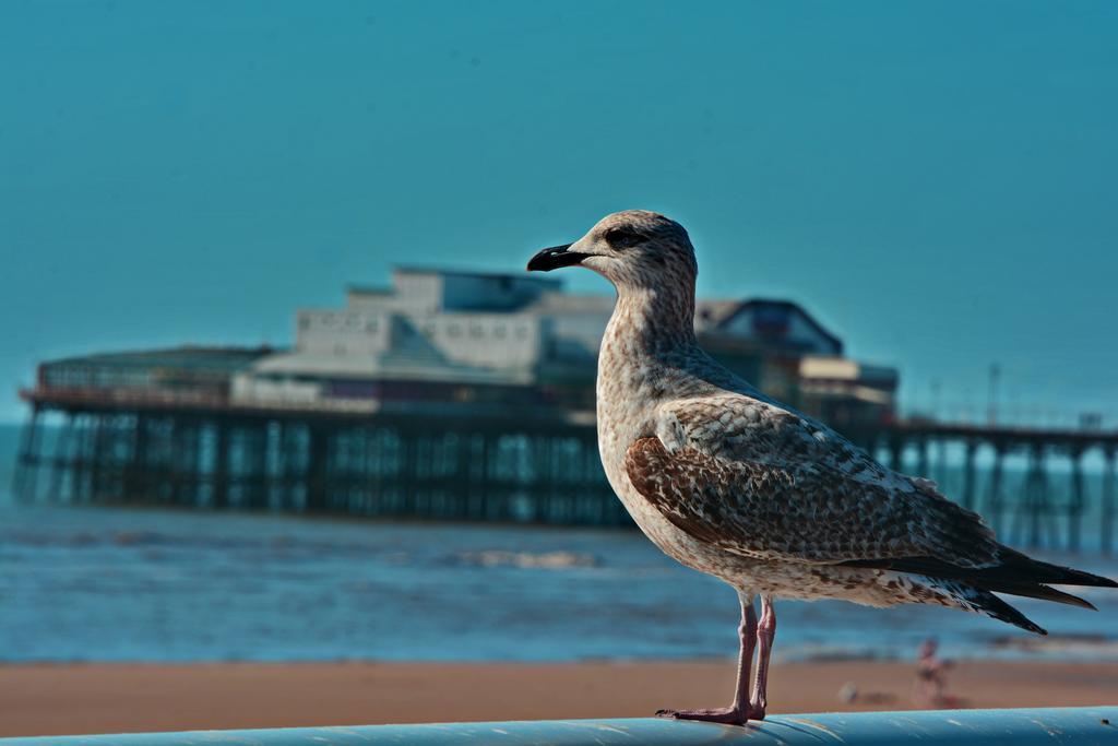 Tregenna Hotel Blackpool Exterior foto